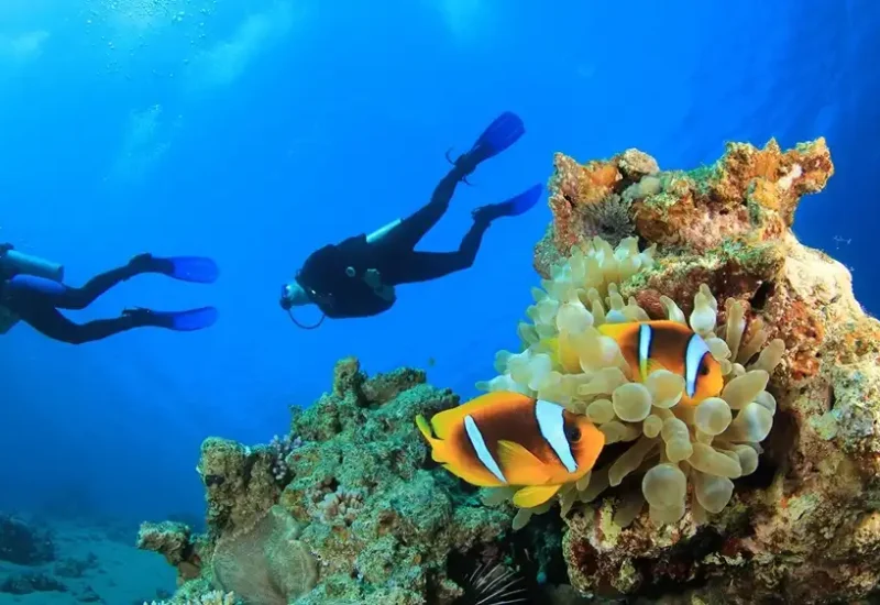 El Tour de Buceo en Alanya