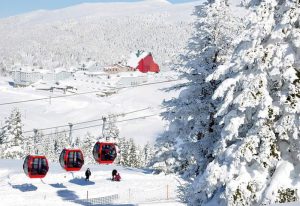 Green Bursa Full Day Group Tour