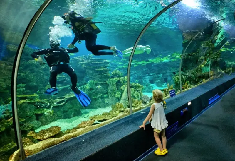 Antalya Aquarium Tour