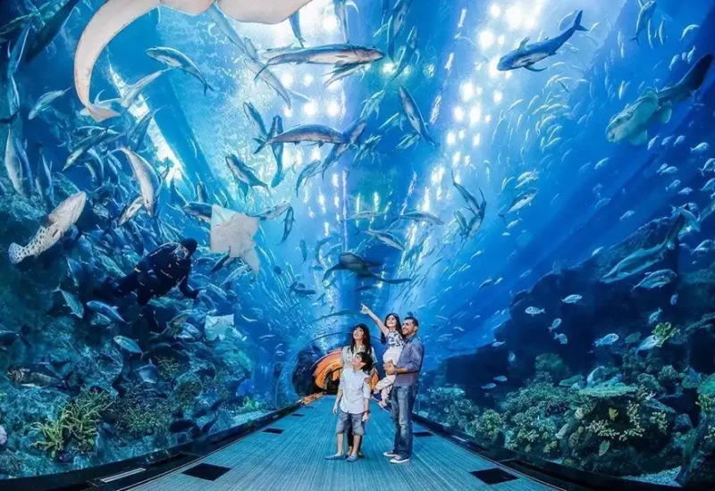 Antalya Aquarium Tour