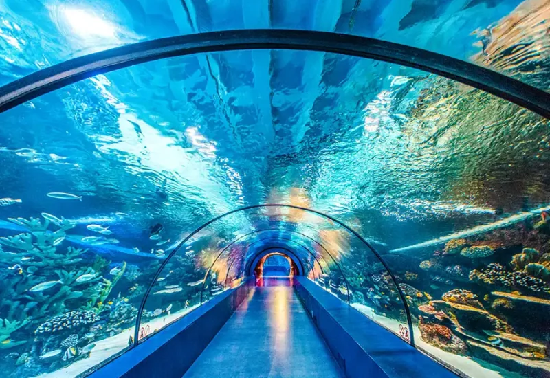 Antalya Aquarium Tour