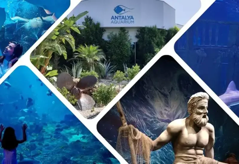 Antalya Aquarium Tour