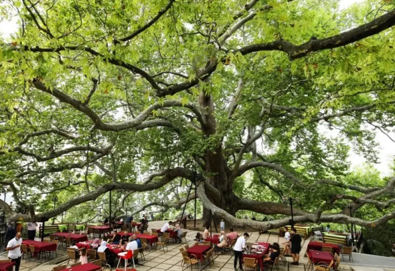Green Bursa Tour & Cable Car Ride