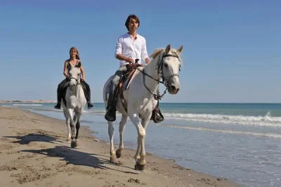 Istanbul Horse Riding Tour