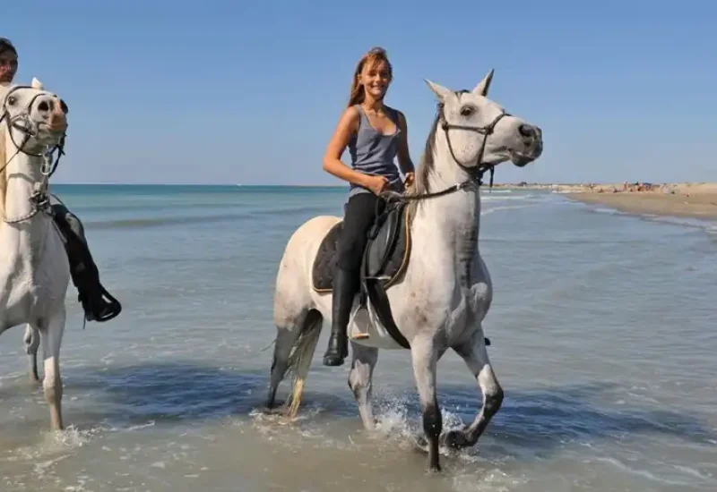Istanbul Horse Riding Tour
