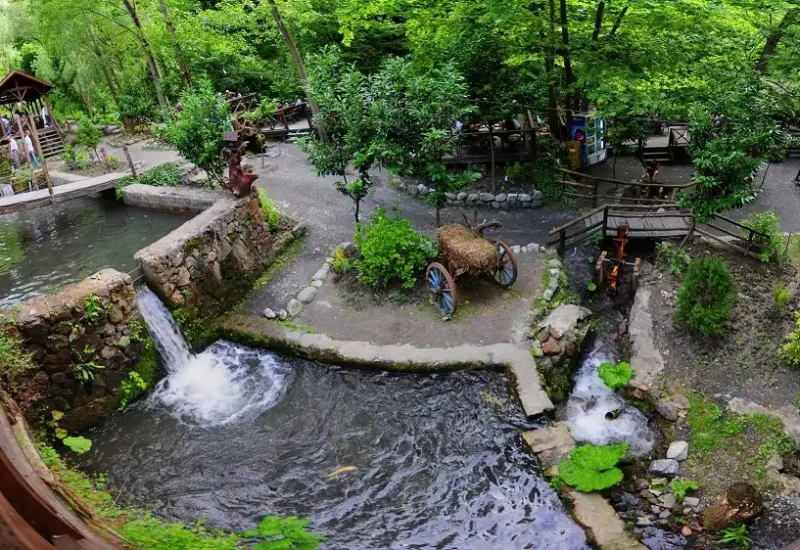 Masukiye and Sapanca Tour