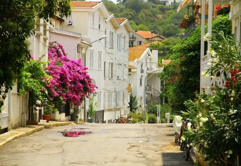 Princes Islands Tour from Istanbul