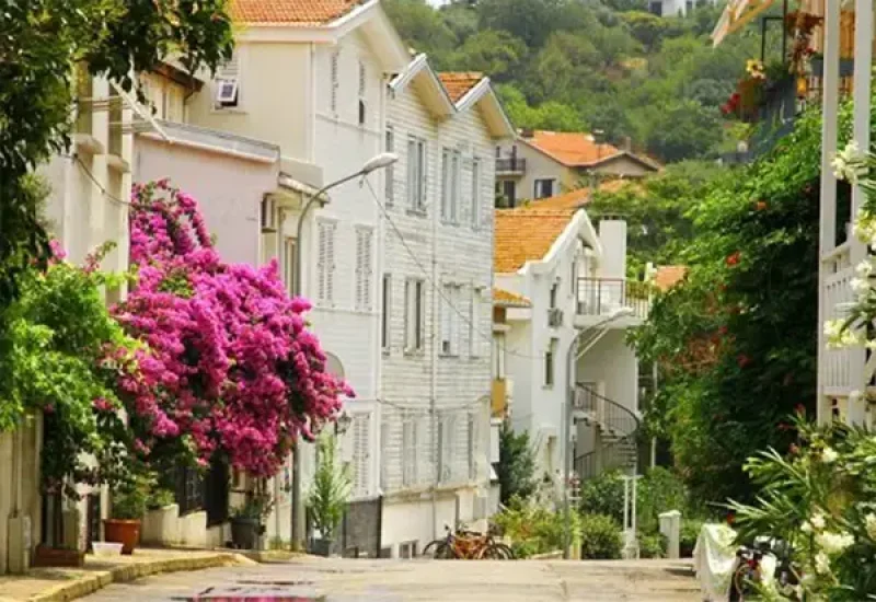 Princes Islands Tour from Istanbul
