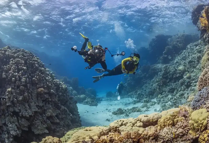 Scuba Diving Alanya Tour